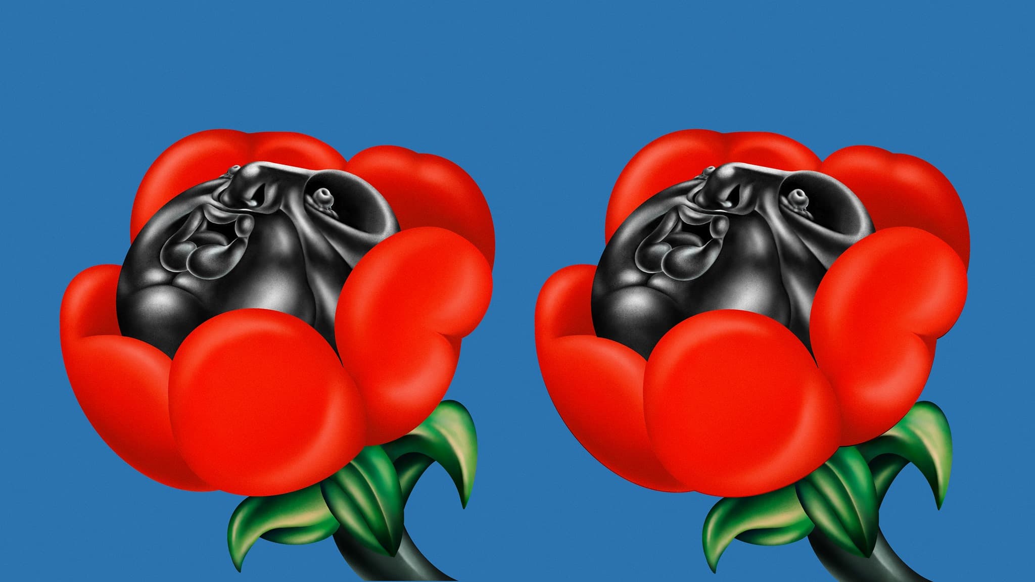 Collection cover image.
